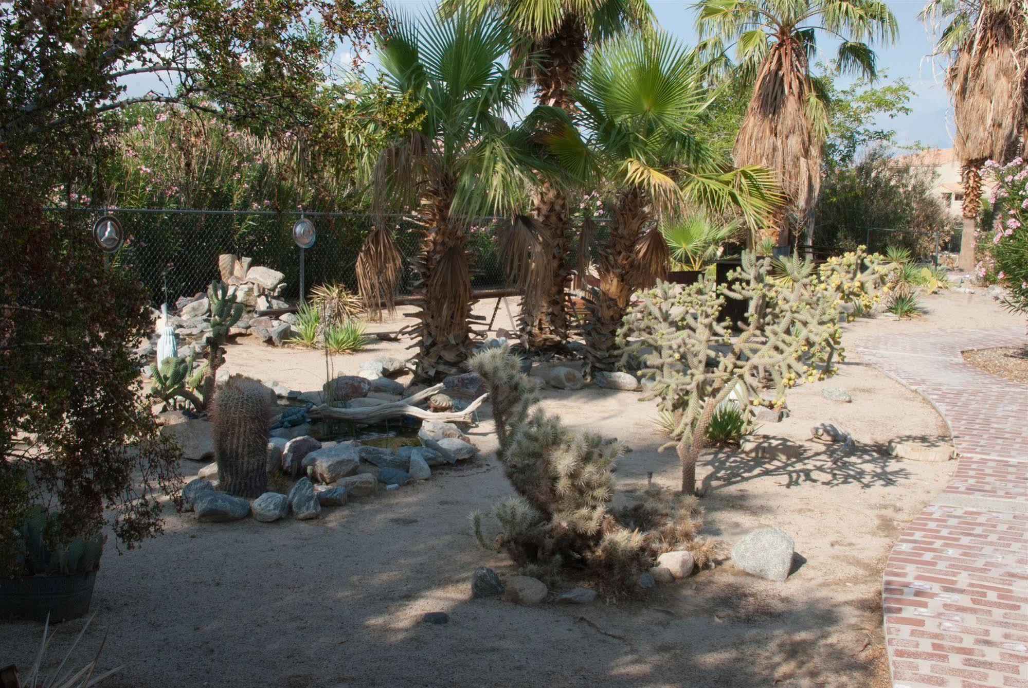 Sunnyvale Garden Suites - Joshua Tree National Park Twentynine Palms Dış mekan fotoğraf